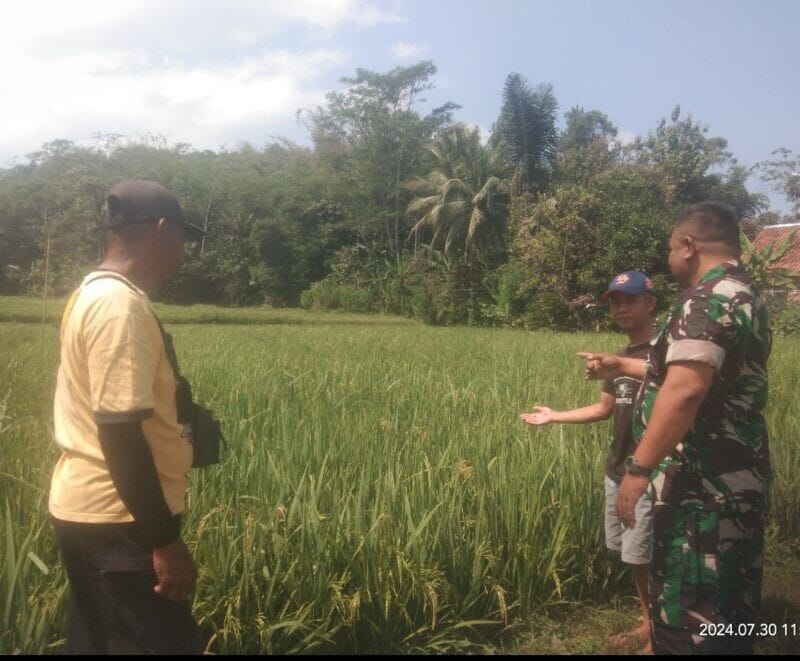 Babinsa Koramil 2211/Sagaranten Laksanakan Pendampingan Ketahanan Pangan di Desa Cikarang 1