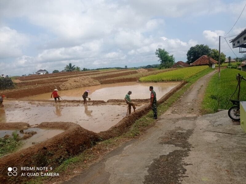 Babinsa Koramil 2213/Jampangkulon Laksanakan Pendampingan Hanpangan di Wilayah Binaan 1 Babinsa Koramil 2213/Jampangkulon Laksanakan Pendampingan Hanpangan di Wilayah Binaan