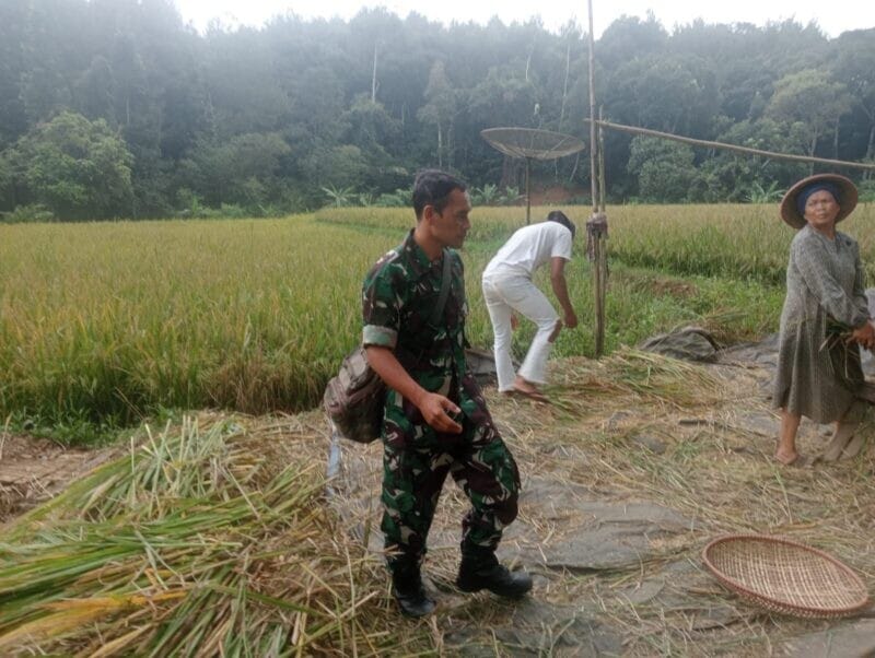 Babinsa Koramil 2213/Jampangkulon Laksanakan Pendampingan Ketahanan Pangan di Wilayah Binaan 10