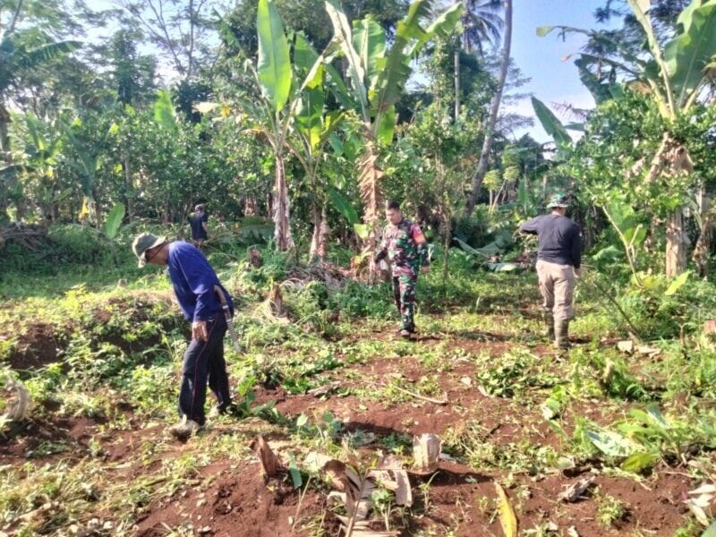 Babinsa Koramil 2208/Nyalindung Bersama Warga Laksanakan Bakti Pembersihan Lahan 10
