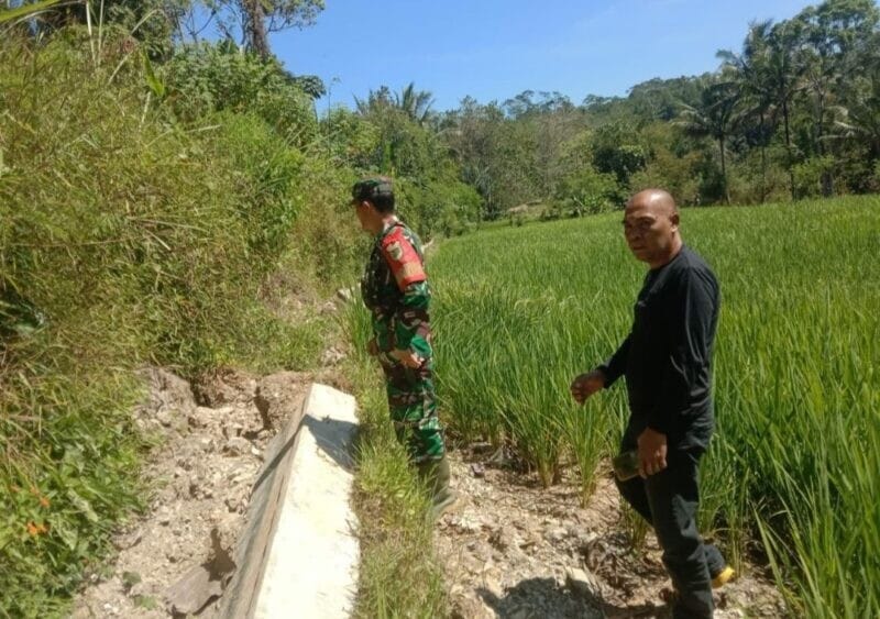 Babinsa Koramil 2209/Lengkong Laksanakan Pendampingan Ketahanan Pangan di Desa Neglasari 5