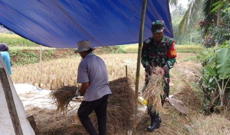 Babinsa Koramil 2209/Lengkong Laksanakan Pendampingan Ketahanan Pangan di Desa Lengkong 6