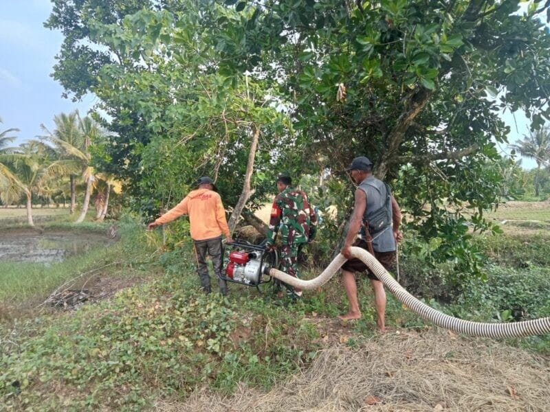 Babinsa Koramil 2215/Ciemas Laksanakan Pendampingan Hanpangan Penyedotan Air untuk Persawahan 1 Babinsa Koramil 2215/Ciemas Laksanakan Pendampingan Hanpangan Penyedotan Air untuk Persawahan