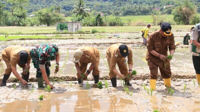 Dandim 0622/Kab. Sukabumi Bersama Pemkab Dukung Swasembada Pangan Berkelanjutan di Ciemas 1