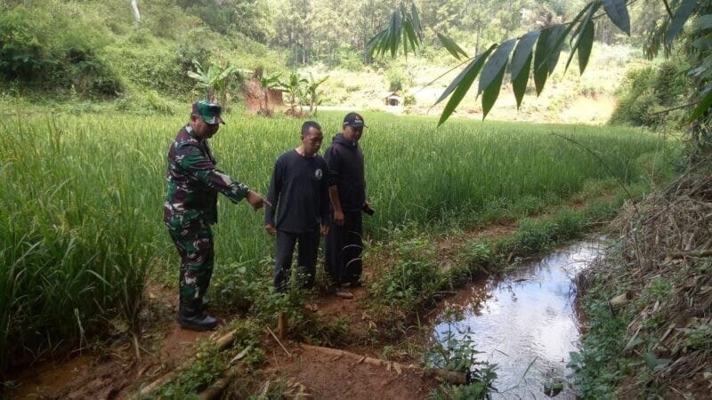 Danposramil 2207/Jampang Tengah laksanakan pendampingan ketahanan pangan 1 Danposramil 2207/Jampang Tengah laksanakan pendampingan ketahanan pangan