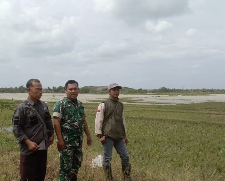 BABINSA KORAMIL 2212/TEGALBULEUD LAKSANAKAN PENDAMPINGAN HANPANGAN DI DESA CALINGCING 10