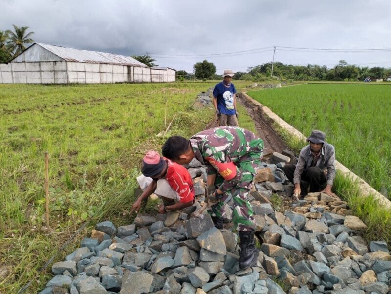 BABINSA KORAMIL 2215/CIEMAS GOTONG ROYONG BERSAMA WARGA BANGUN JALAN PERTANIAN DI DESA CIWARU 1 BABINSA KORAMIL 2215/CIEMAS GOTONG ROYONG BERSAMA WARGA BANGUN JALAN PERTANIAN DI DESA CIWARU