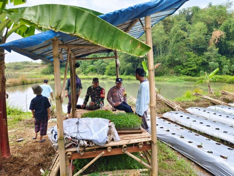 BABINSA KORAMIL 2206/PARAKANSALAK LAKSANAKAN PENDAMPINGAN KETAHANAN PANGAN BERSAMA KELOMPOK TANI 1 BABINSA KORAMIL 2206/PARAKANSALAK LAKSANAKAN PENDAMPINGAN KETAHANAN PANGAN BERSAMA KELOMPOK TANI