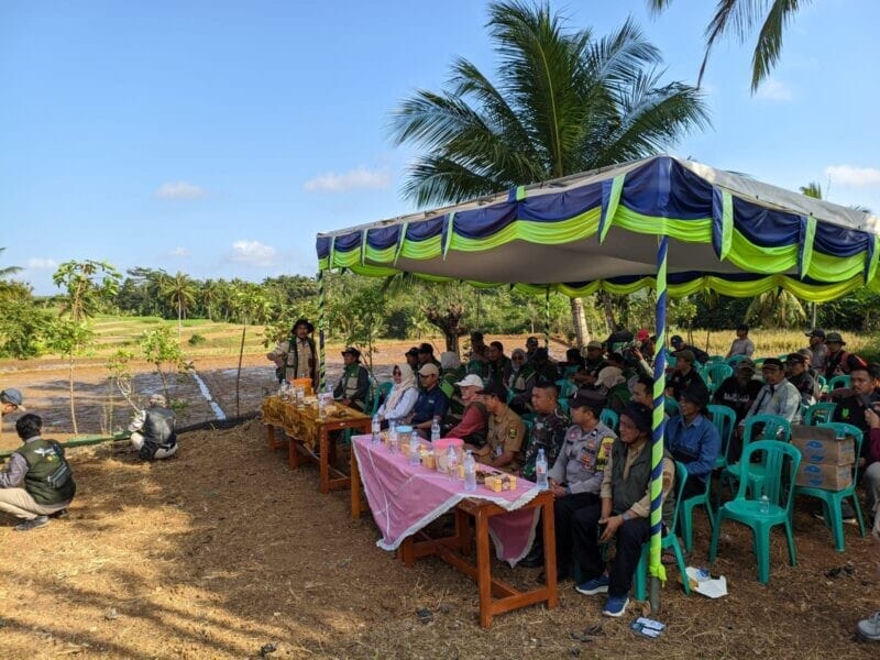 BABINSA KORAMIL 2214/SURADE DAMPINGI SOSIALISASI DINAS PERTANIAN DI DESA MEKARMUKTI 1 BABINSA KORAMIL 2214/SURADE DAMPINGI SOSIALISASI DINAS PERTANIAN DI DESA MEKARMUKTI