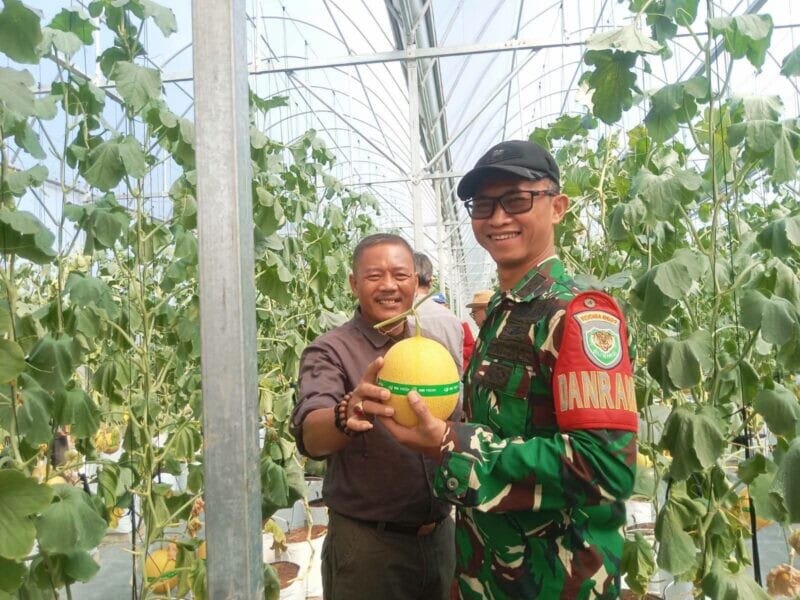 Danramil 2201/Cisolok Hadiri Peresmian Wisata Petik Melon Premium SAM FARM Greenhouse 4
